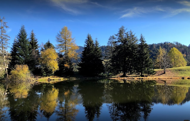 Hôtel Auberge du Lac-des- Joncs - Gastronomie und Hotellerie