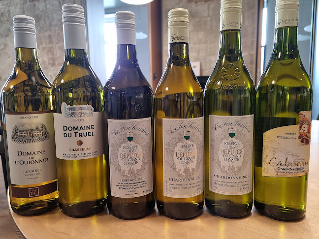 Rue Cité-Devant 13, 1014 Lausanne