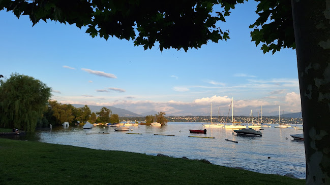 Rte du Creux-de-Genthod 29, 1294 Genthod