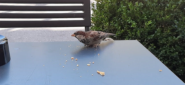 Comentarii opinii despre Coop Restaurant Netstal Wiggispark