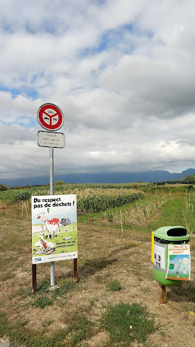 La Vy Serpettaz, 1295 Tannay