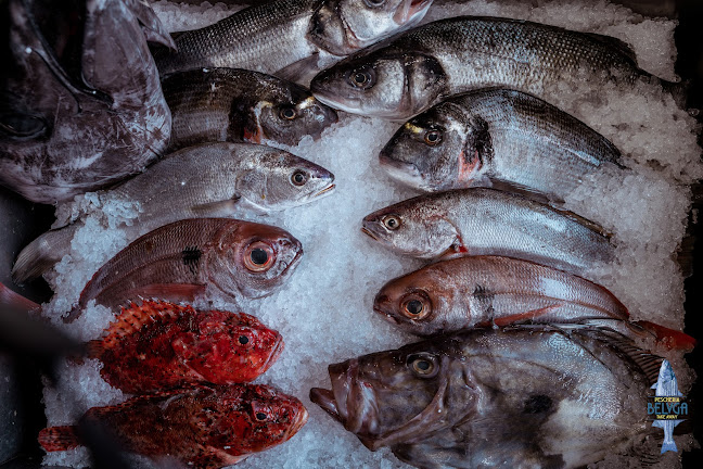 Opinii despre Ristorante Pescheria Belvga în Lugano - Gastronomie und Hotellerie