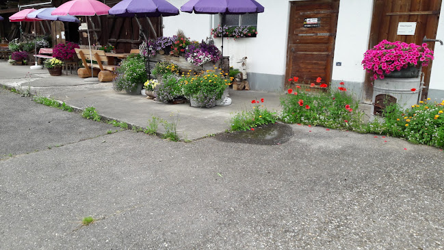 Steinbüllenstrasse 2, 8933 Maschwanden