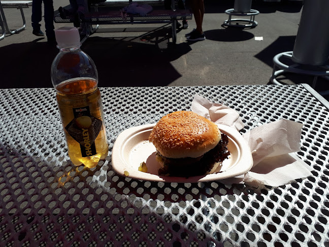 Comentarii opinii despre Heligrill