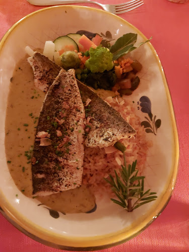 Comentarii opinii despre Terra Cotta