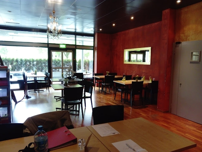 Comentarii opinii despre Wydehof