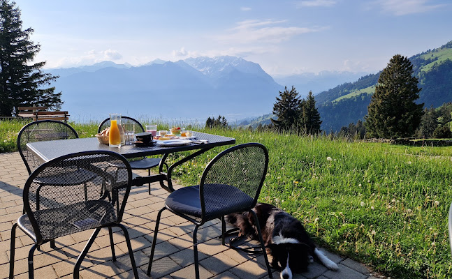 Hotel | Restaurant Berghaus Malbun Buchserberg - Buchs
