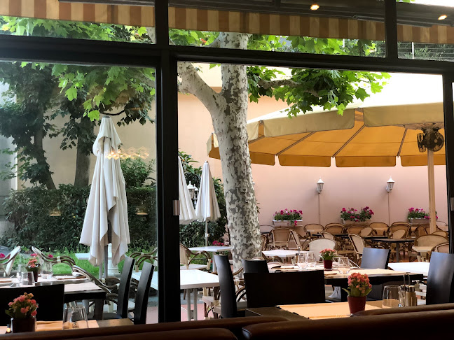 Comentarii opinii despre La Veranda, Restaurant Genève