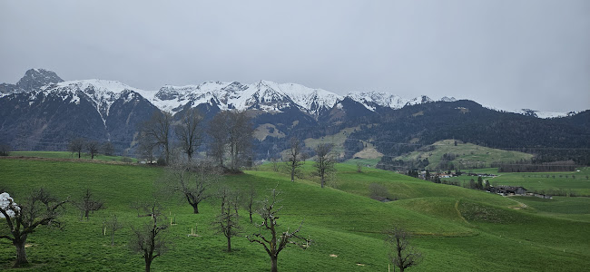 Comentarii opinii despre Erlebnisland Grizzlybär