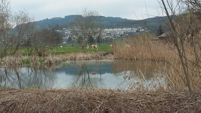 Opinii despre Ernst Sutter AG în Geuensee - Gastronomie und Hotellerie