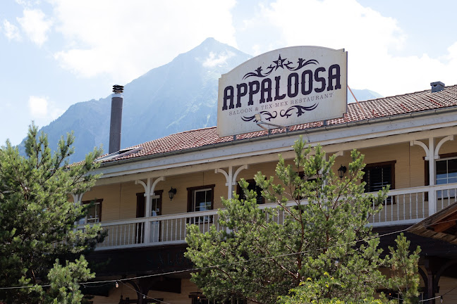 Appaloosa Saloon