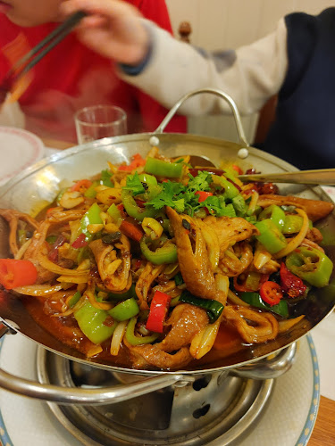 Restaurant Henan 河南人家 - Renens