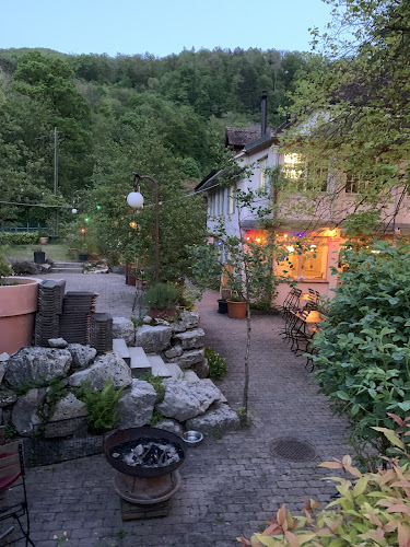 Comentarii opinii despre Auberge - Restaurant Des Gorges