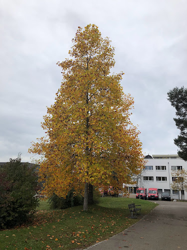 Allee Café - Muri bei Bern
