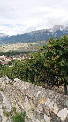 Comentarii opinii despre Les Pélerins