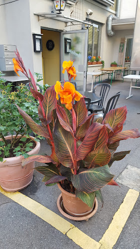 Comentarii opinii despre chlyne Hecht