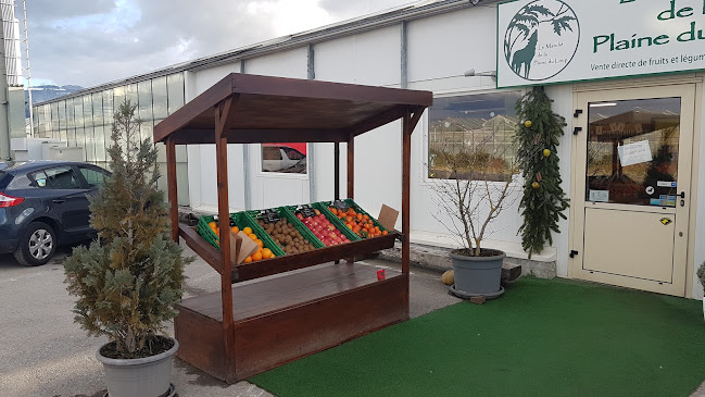 Le Marché de la Plaine du Loup