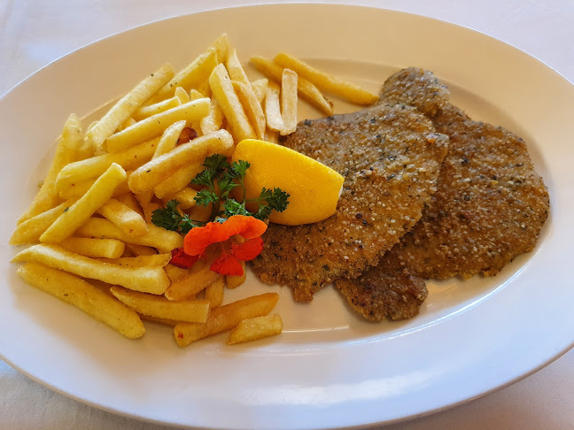 Erlebnisland Grizzlybär