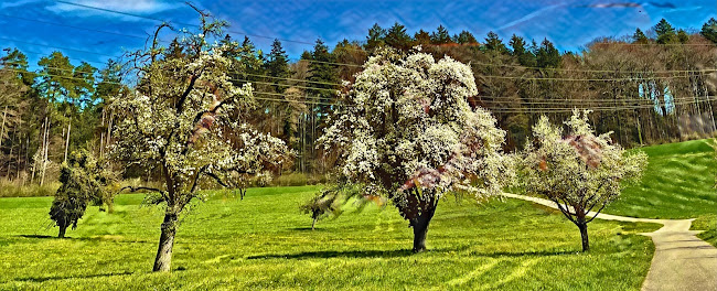 Niederhaslistrasse 119, 8105 Watt