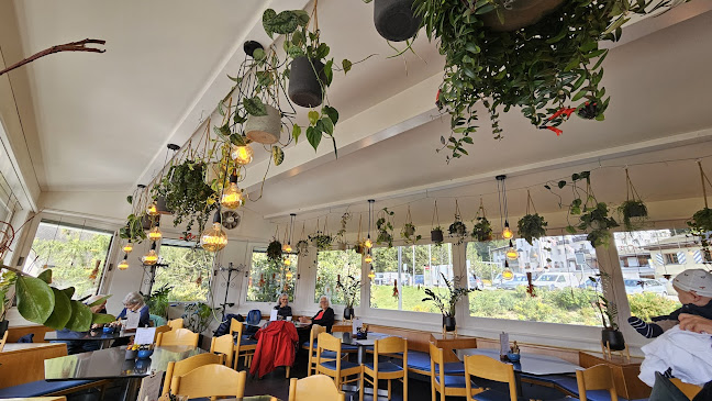 Comentarii opinii despre Cafe Aurora