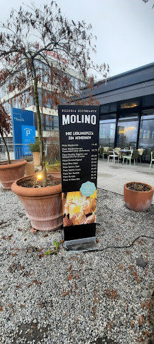 Comentarii opinii despre Pizzeria Ristorante Molino Affoltern am Albis