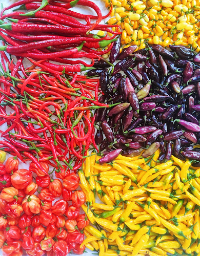 Sennjoeggel.ch - Madiswil