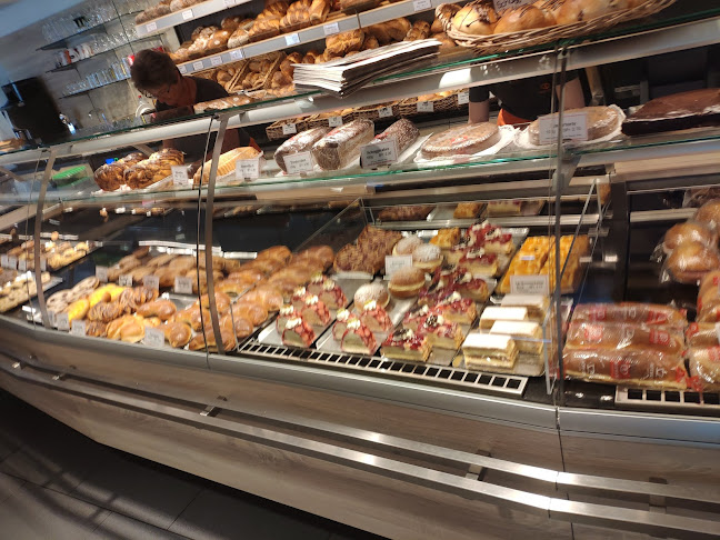 Comentarii opinii despre Rothus