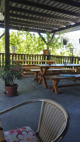 Comentarii opinii despre Bierhaus