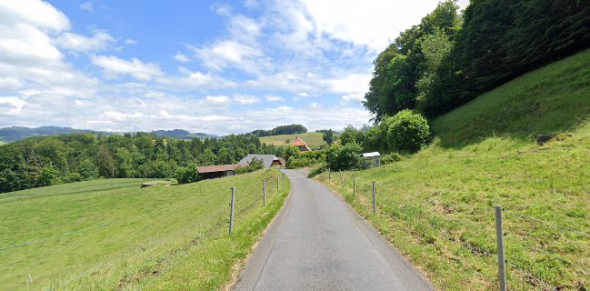 Selber Wursten Schweinebratwurst Morewurster Wurstseminar