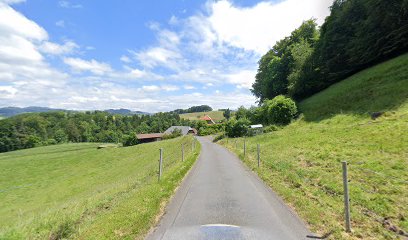 Selber Wursten Schweinebratwurst Morewurster Wurstseminar