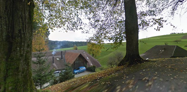 Opinii despre Restaurant und Hotel Löchlibad în Obergoldbach - Gastronomie und Hotellerie