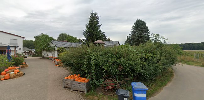 Obst-und Gemüsehof Wurbs GmbH