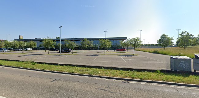 Comentarii opinii despre BallonBar