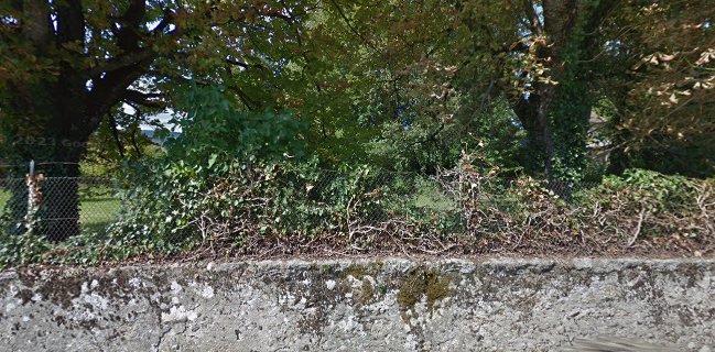 Macarons'n, Boutique de macarons en ligne