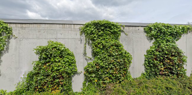 Fresh Food & Beverage Group AG