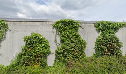 Fresh Food & Beverage Group AG