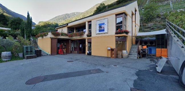 Opinii despre Mr. Florian Besse în Martigny-Croix - Gastronomie und Hotellerie