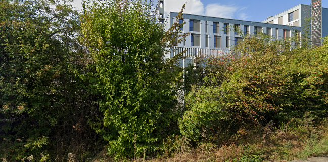 Taphouse Burgers & Ales EPFL