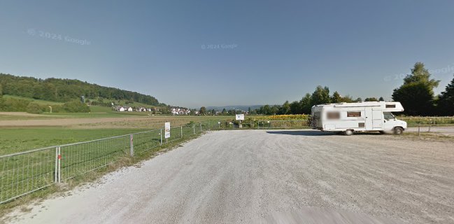 Blumenfeld zum selber Pflücken