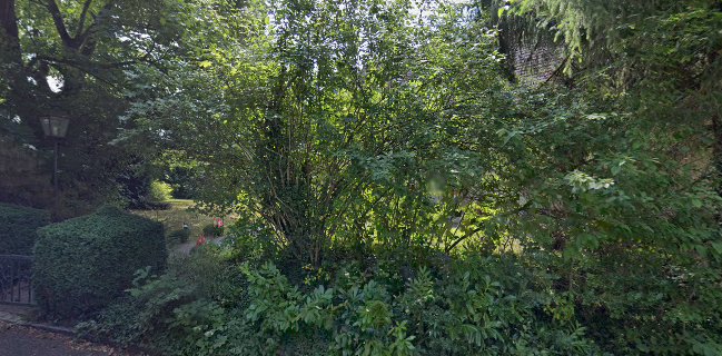 sfd swiss food display gmbh