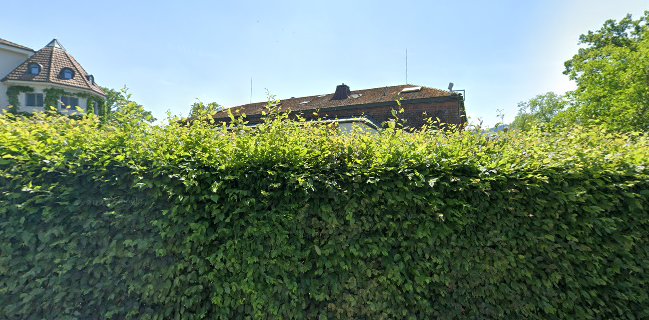 Seerose Bar & Lounge