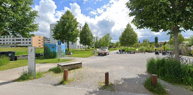 Asada Picada - Grilltruckli on the Road