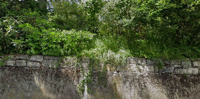 Artisanat Et Vin Guido Staub