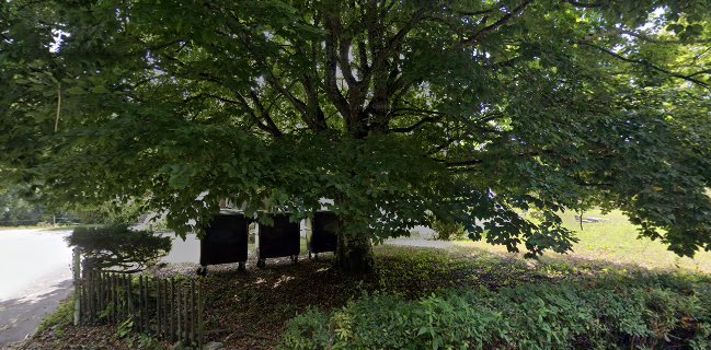 Restaurant La Rive Mex