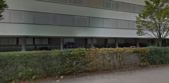 The Sairaz Indian Fusion