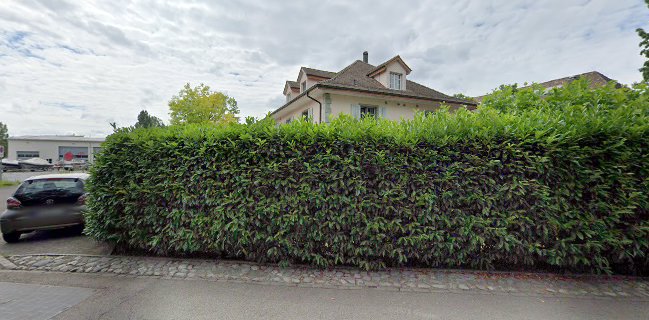 Comentarii opinii despre Seegarten