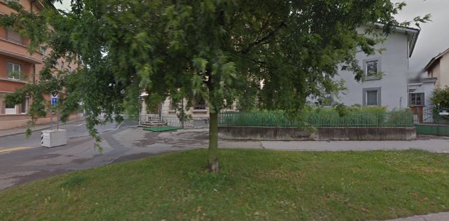 Fleur de Renens, Lino Da Silva Rodrigues