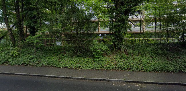 Comentarii opinii despre Tukul restaurant