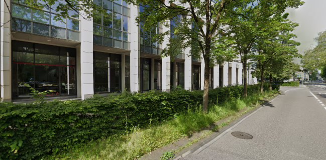 Comentarii opinii despre People's Bar & Lounge Bern