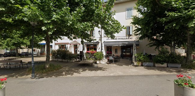 Opinii despre Le Canard Intelligent în Carouge - Gastronomie und Hotellerie